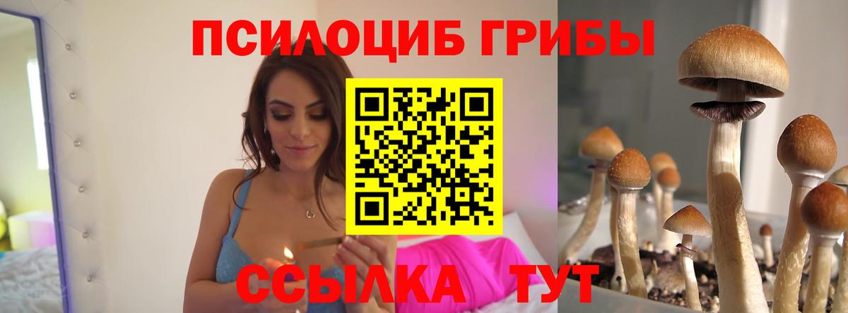 Псилоцибиновые грибы ЛСД Павловский Посад
